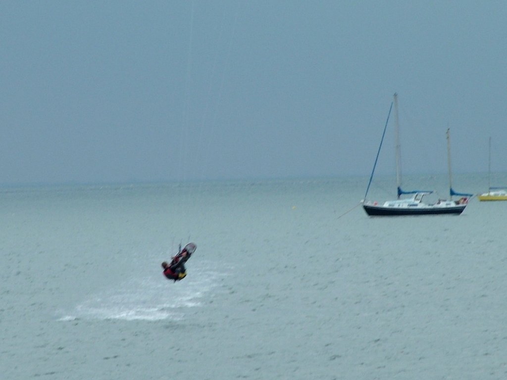 Click now to see this image full size.