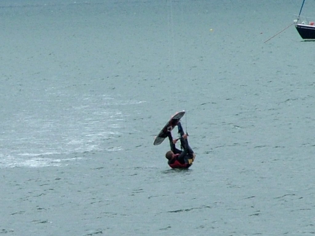 Click now to see this image full size.