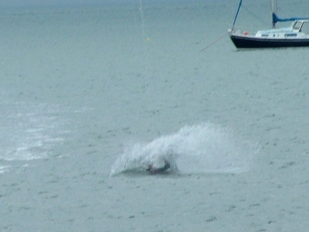 Click now to see this image full size.