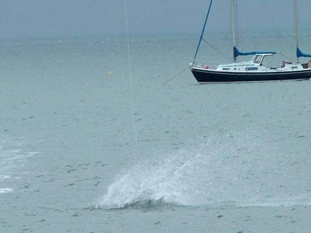 Click now to see this image full size.