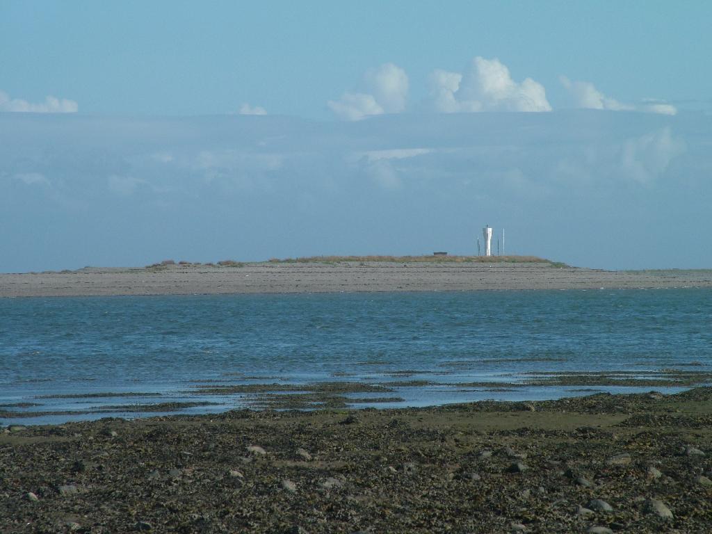 Click now to see this image full size.