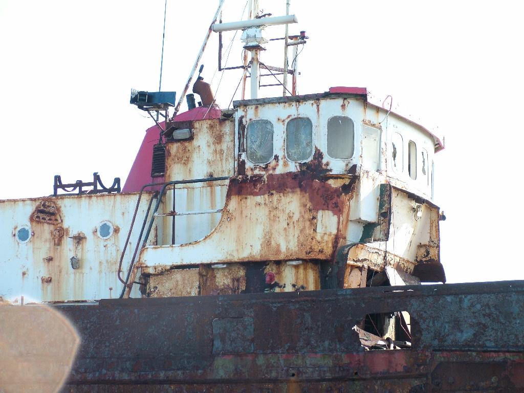 Click now to see this image full size.