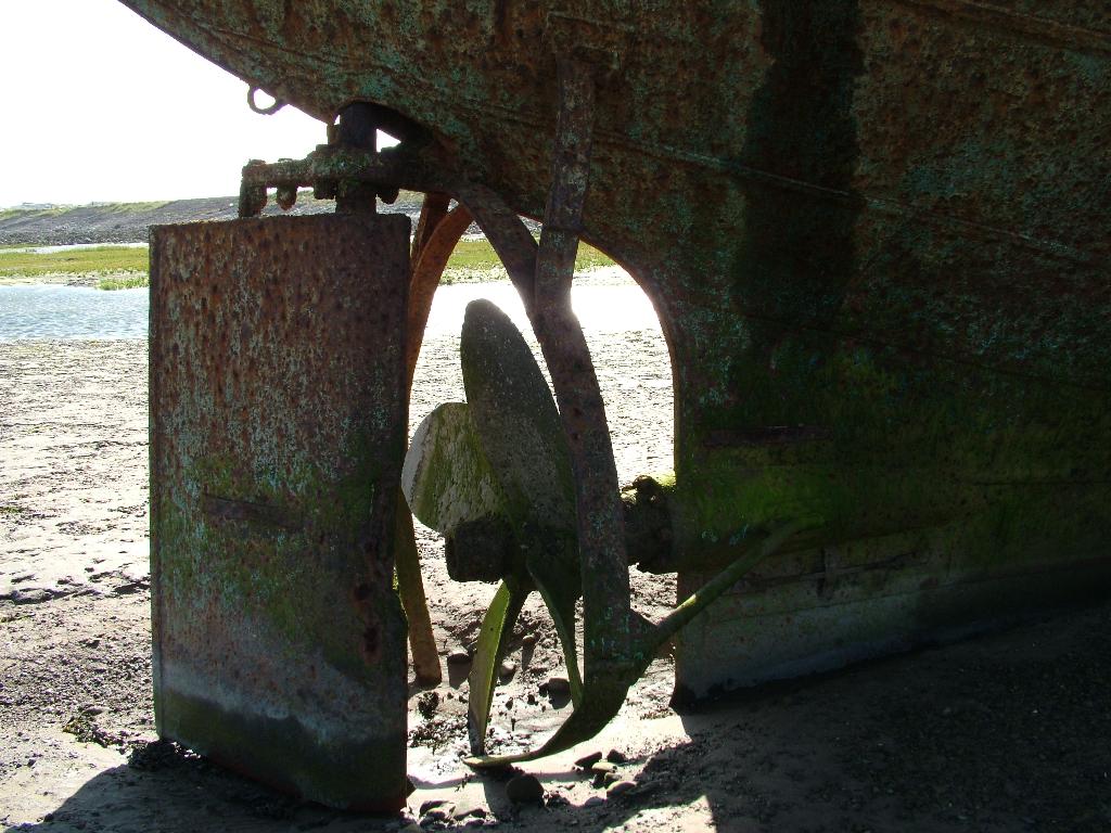 Click now to see this image full size.