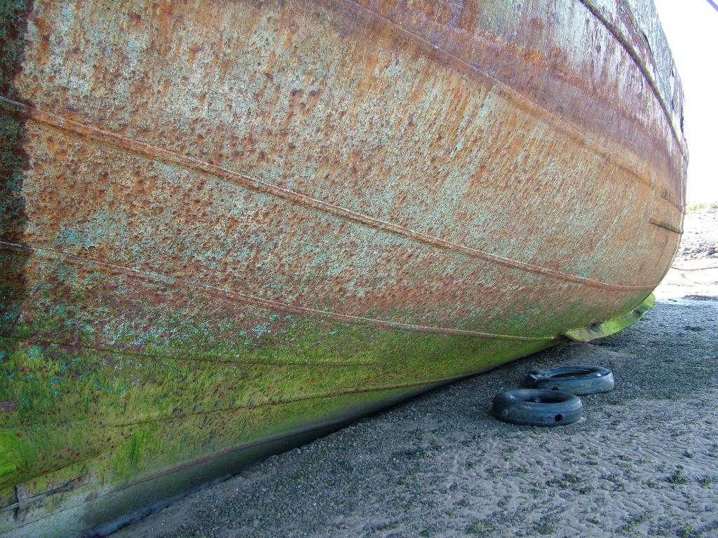 Click now to see this image full size.