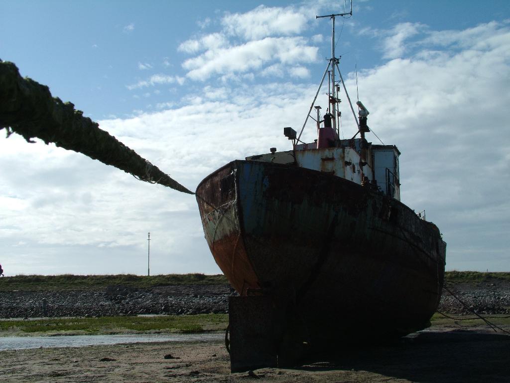 Click now to see this image full size.