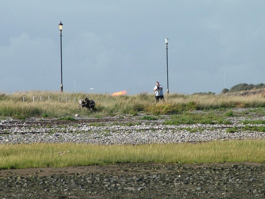 Click now to see this image full size.