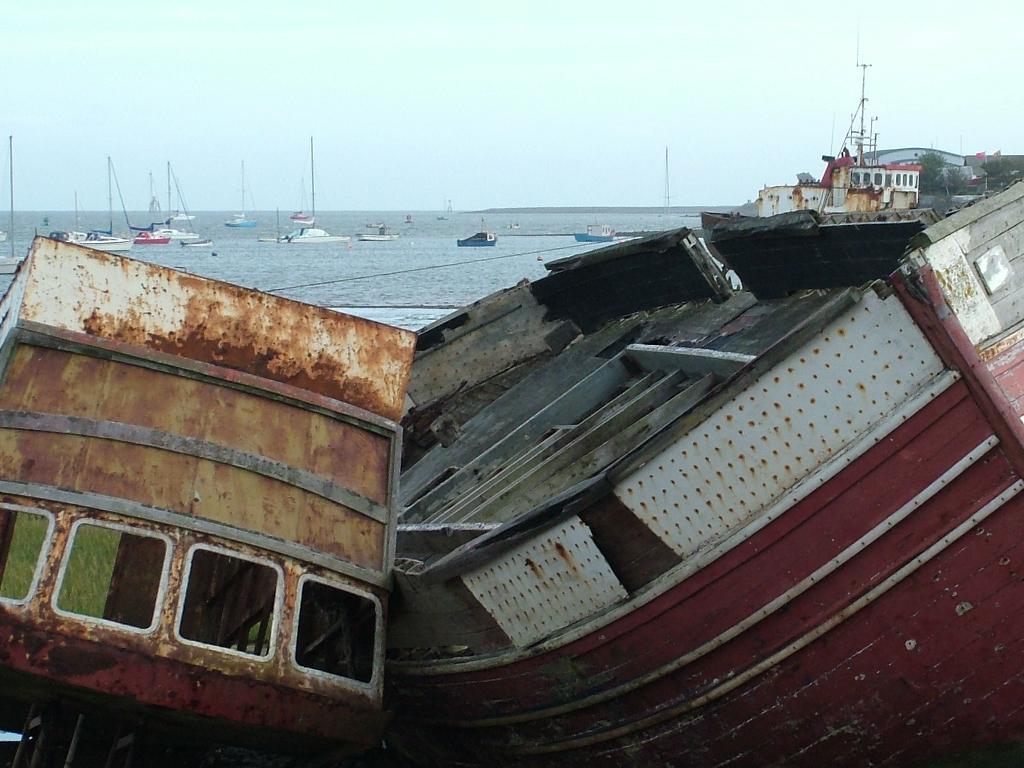 Click now to see this image full size.