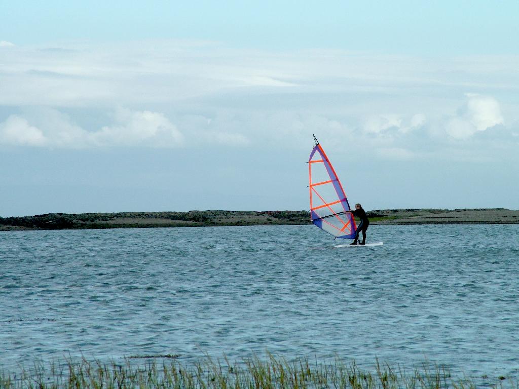 Click now to see this image full size.