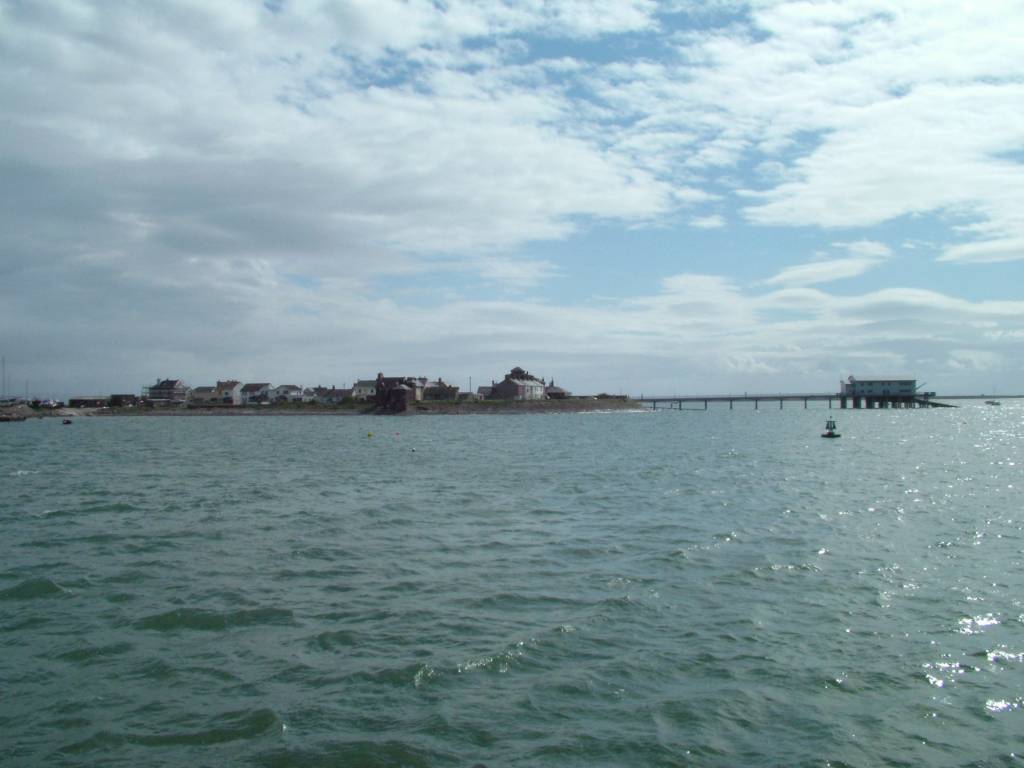 Click now to see this image full size.