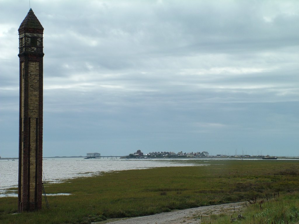 Click now to see this image full size.