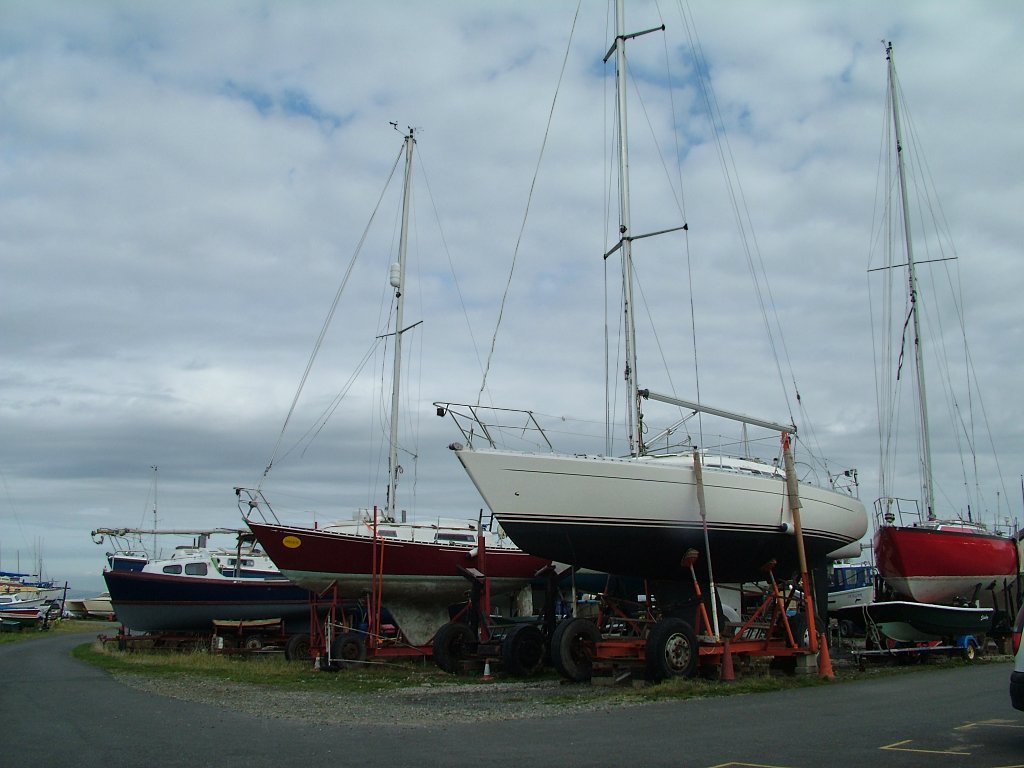 Click now to see this image full size.