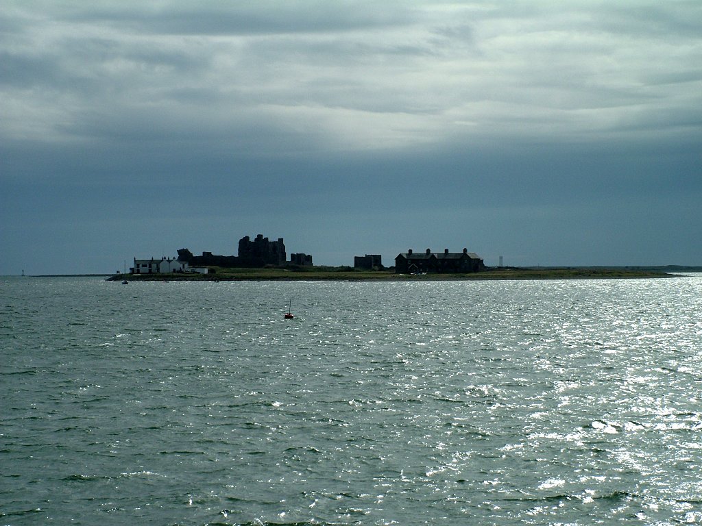 Click now to see this image full size.