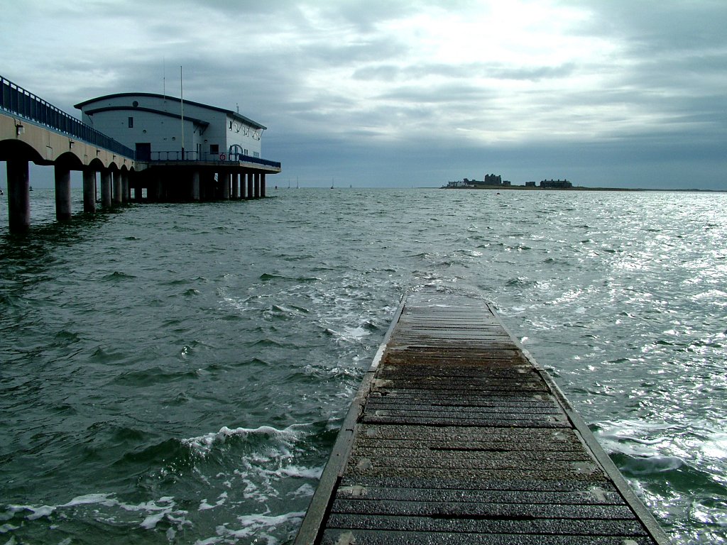 Click now to see this image full size.