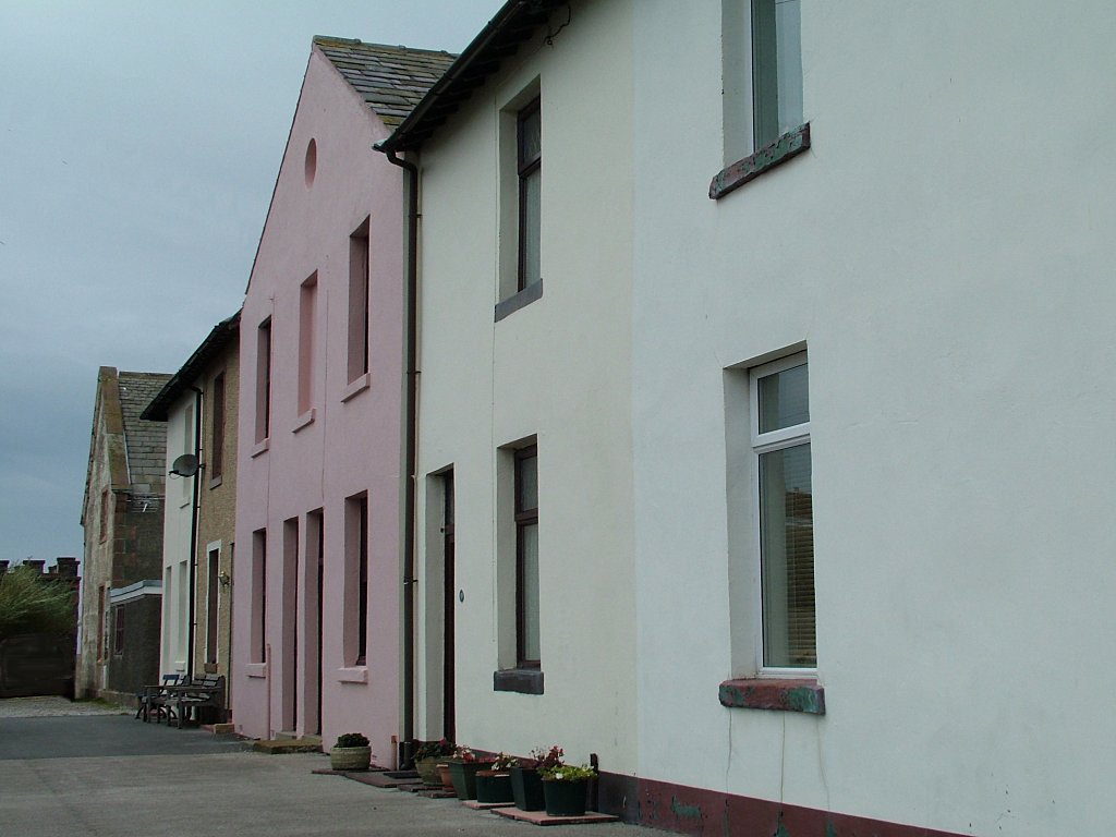 Click now to see this image full size.