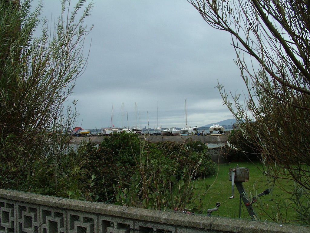 Click now to see this image full size.