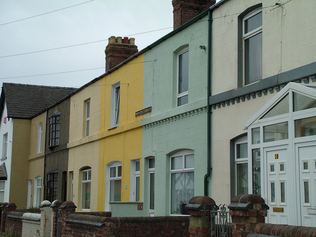 Click now to see this image full size.