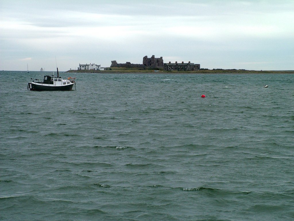 Click now to see this image full size.