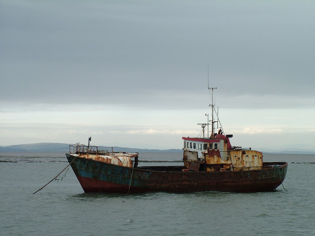 Click now to see this image full size.