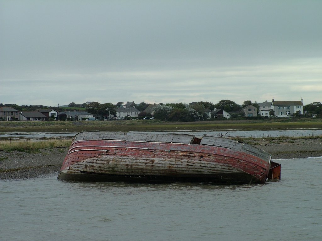 Click now to see this image full size.