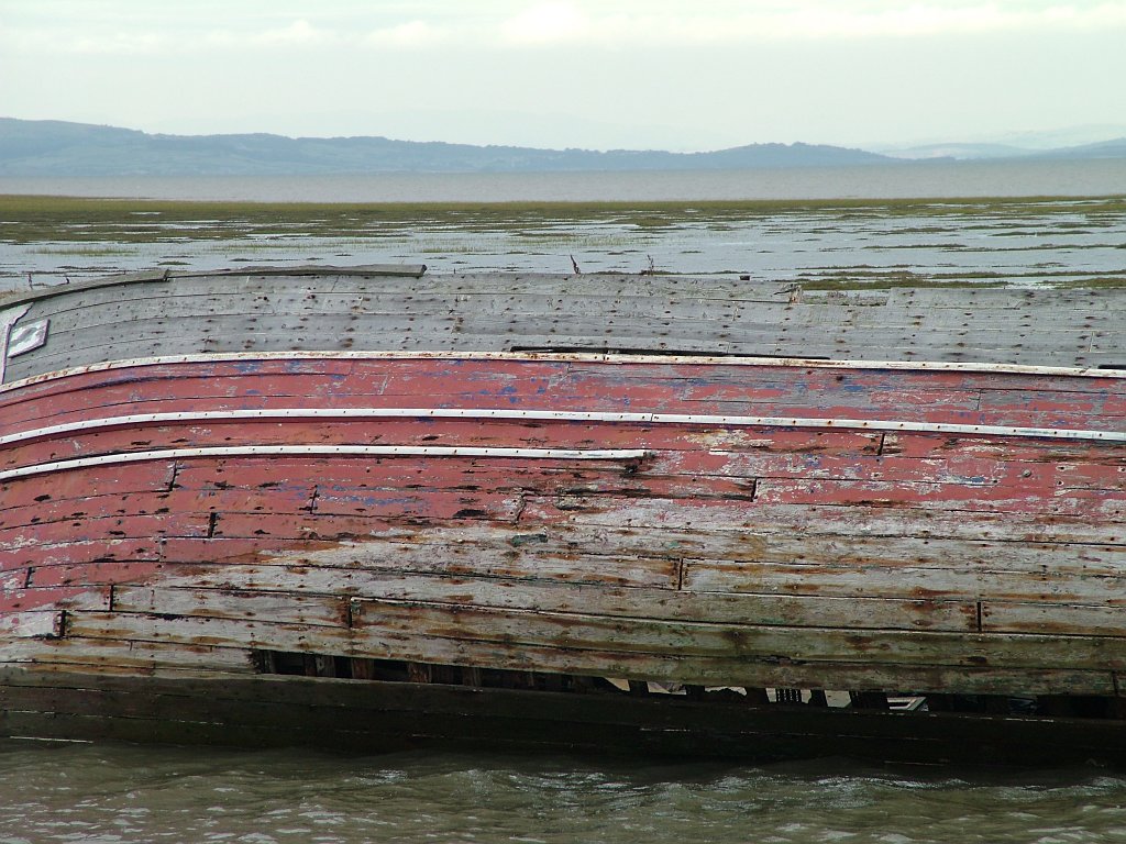 Click now to see this image full size.