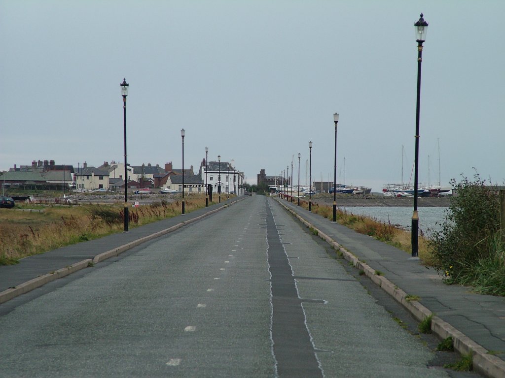 Click now to see this image full size.