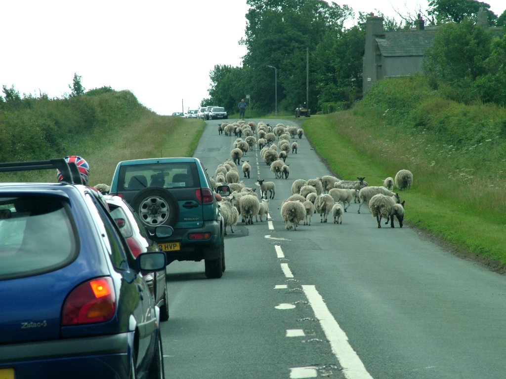 Click now to see this image full size.