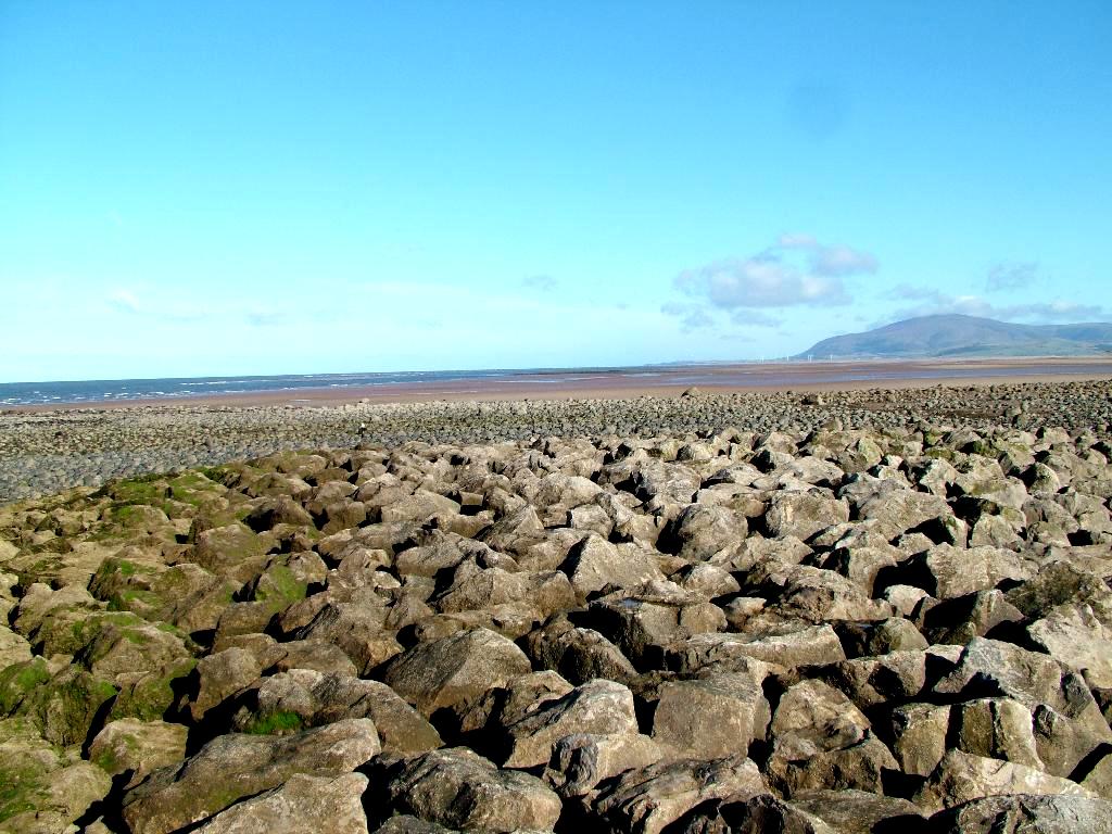 Click now to see this image full size.