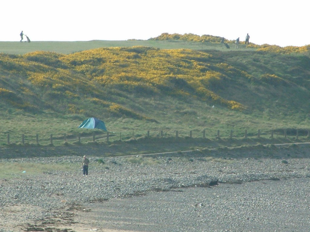 Click now to see this image full size.