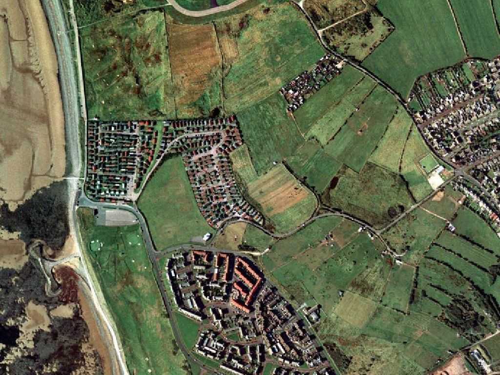 Click now to see this image full size.