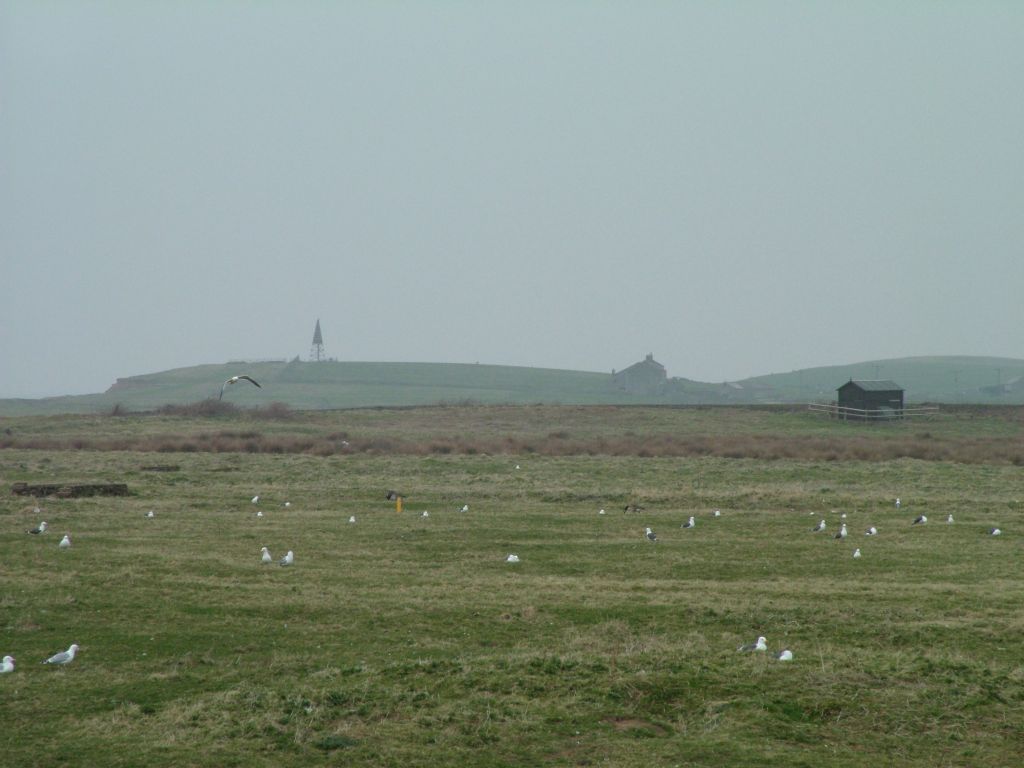 Click now to see this image full size.