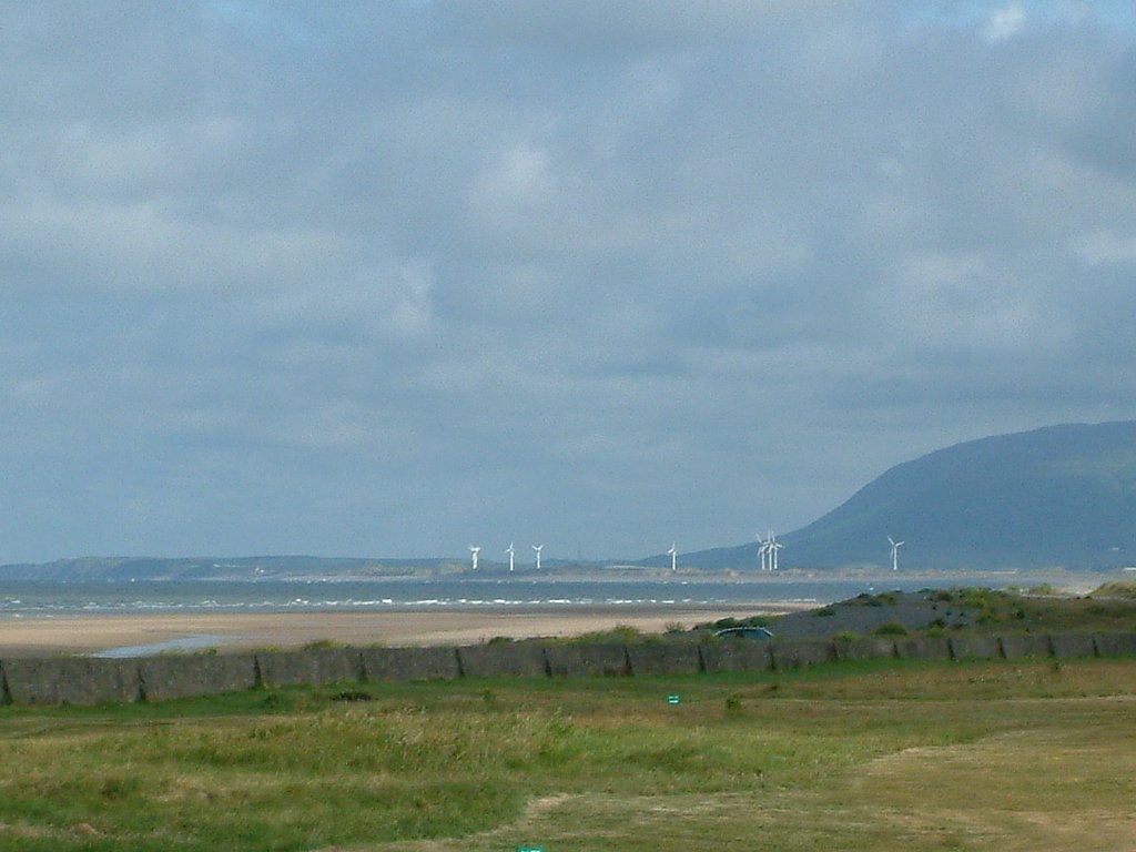 Click now to see this image full size.