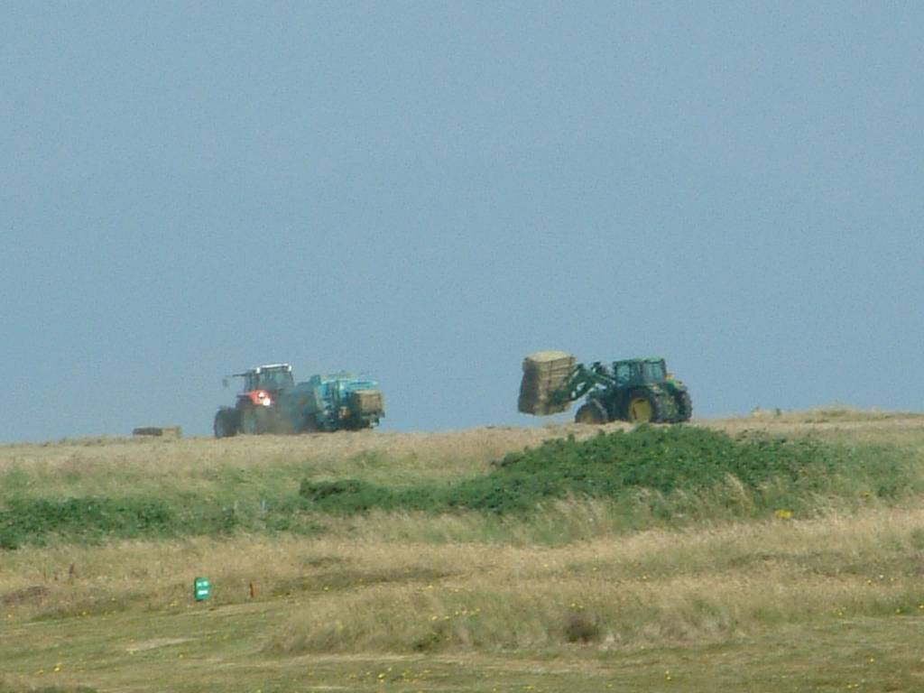 Click now to see this image full size.