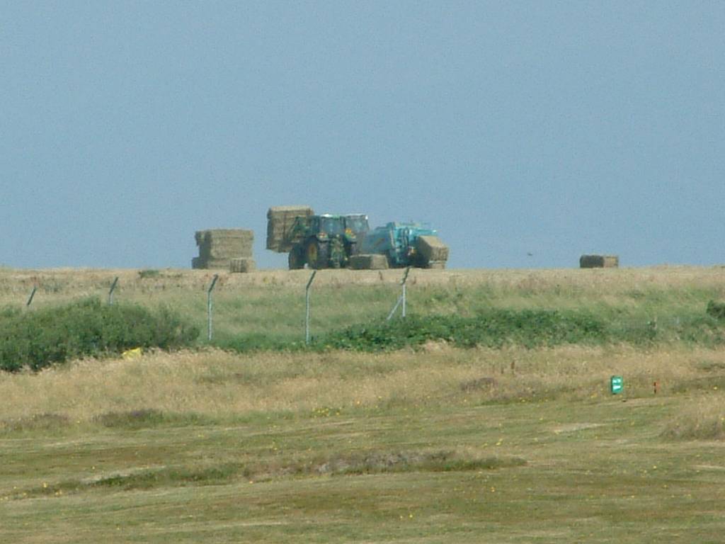 Click now to see this image full size.