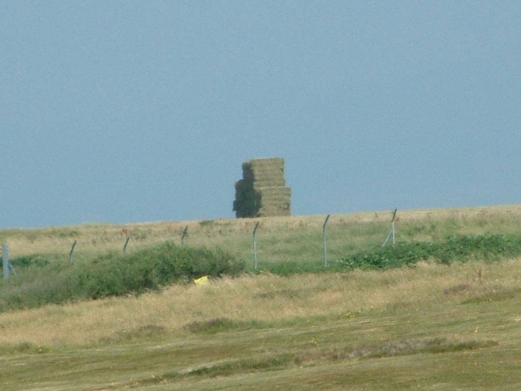 Click now to see this image full size.