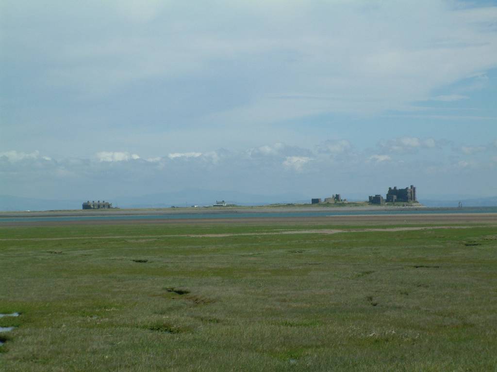 Click now to see this image full size.