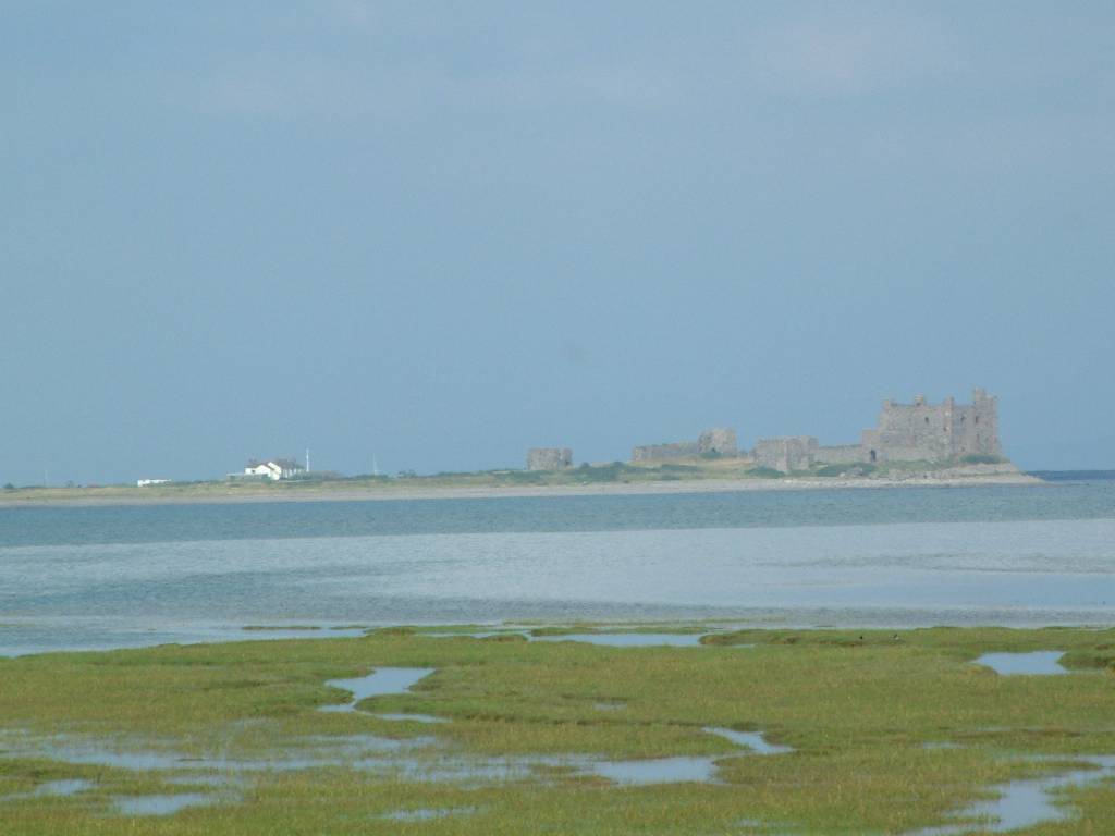 Click now to see this image full size.