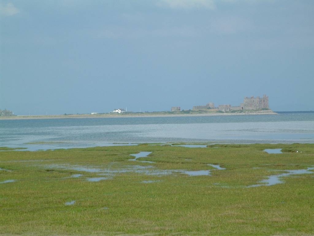 Click now to see this image full size.