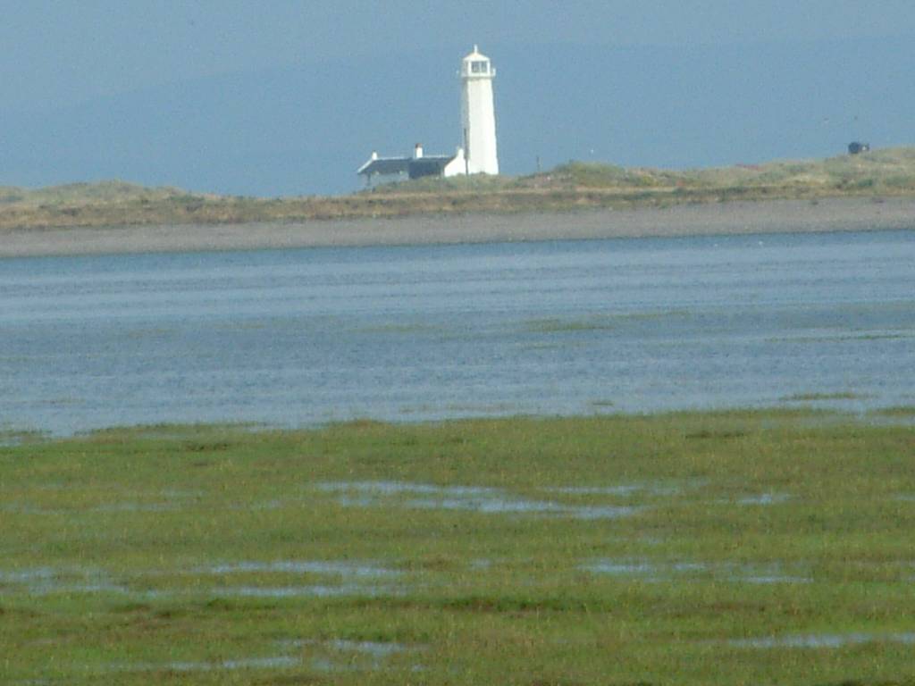 Click now to see this image full size.