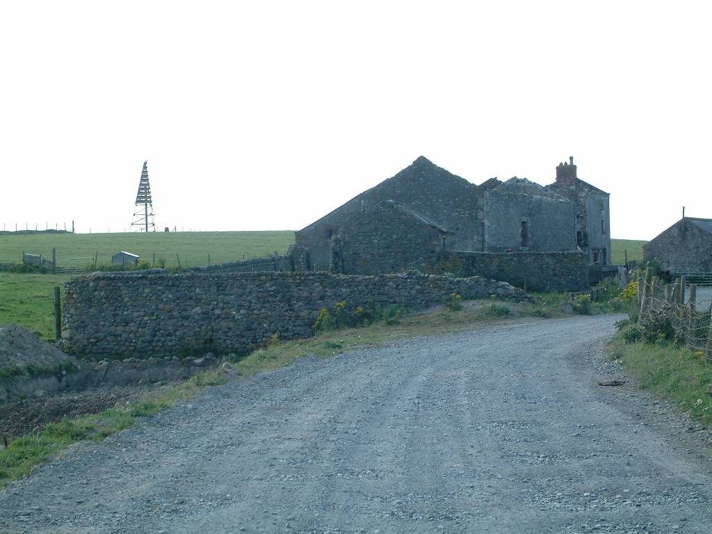 Click now to see this image full size.