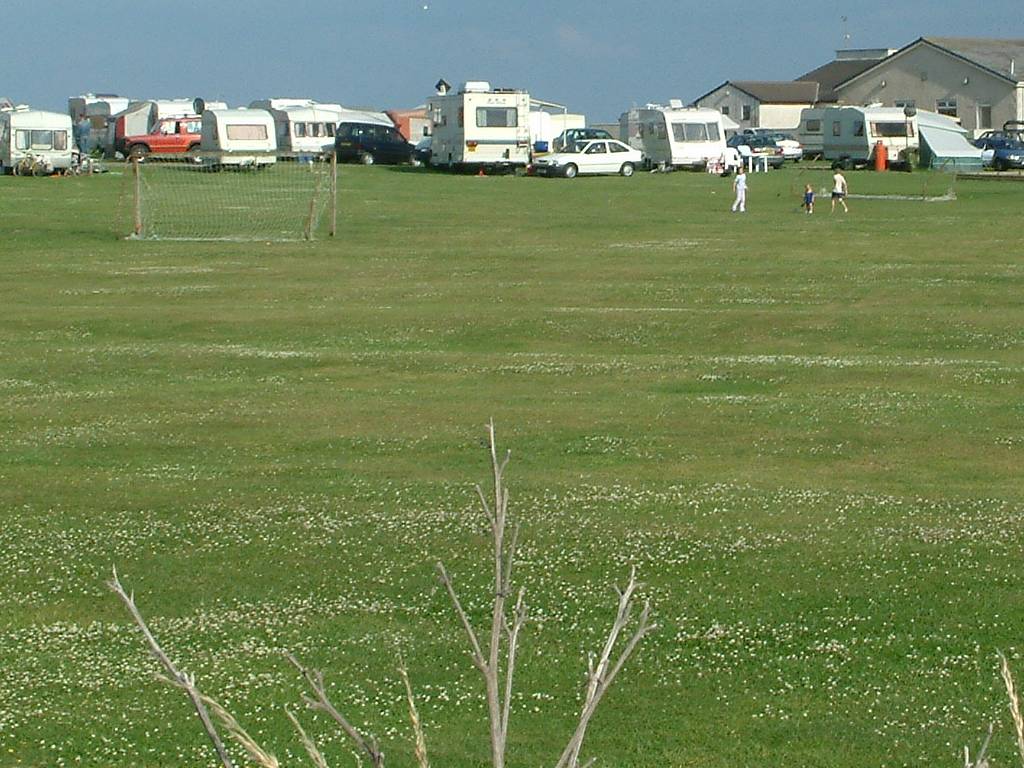 Click now to see this image full size.