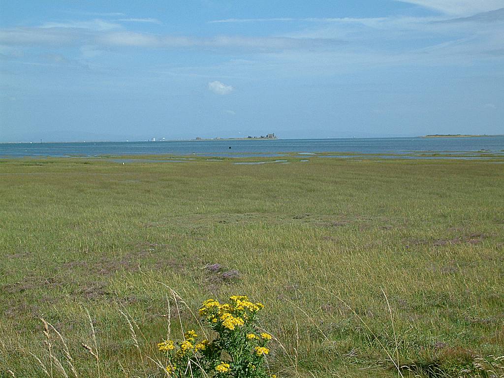 Click now to see this image full size.