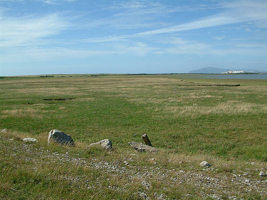 Click now to see this image full size.