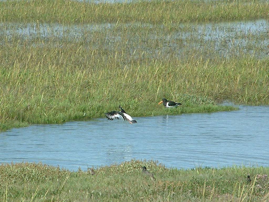 Click now to see this image full size.