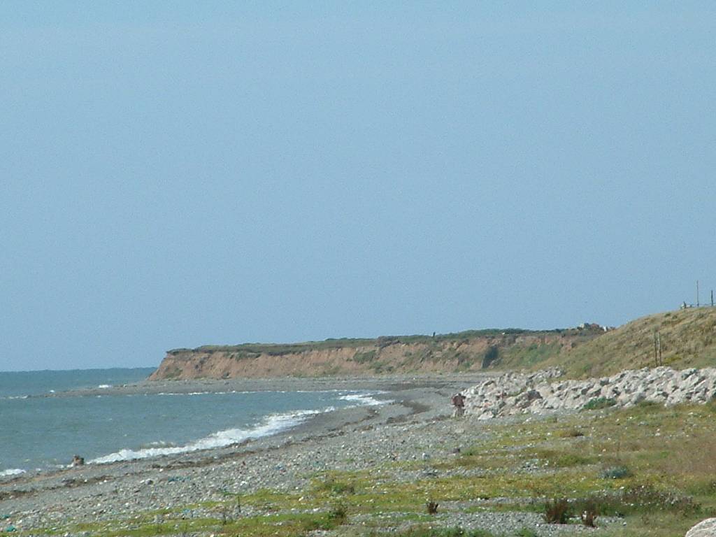 Click now to see this image full size.