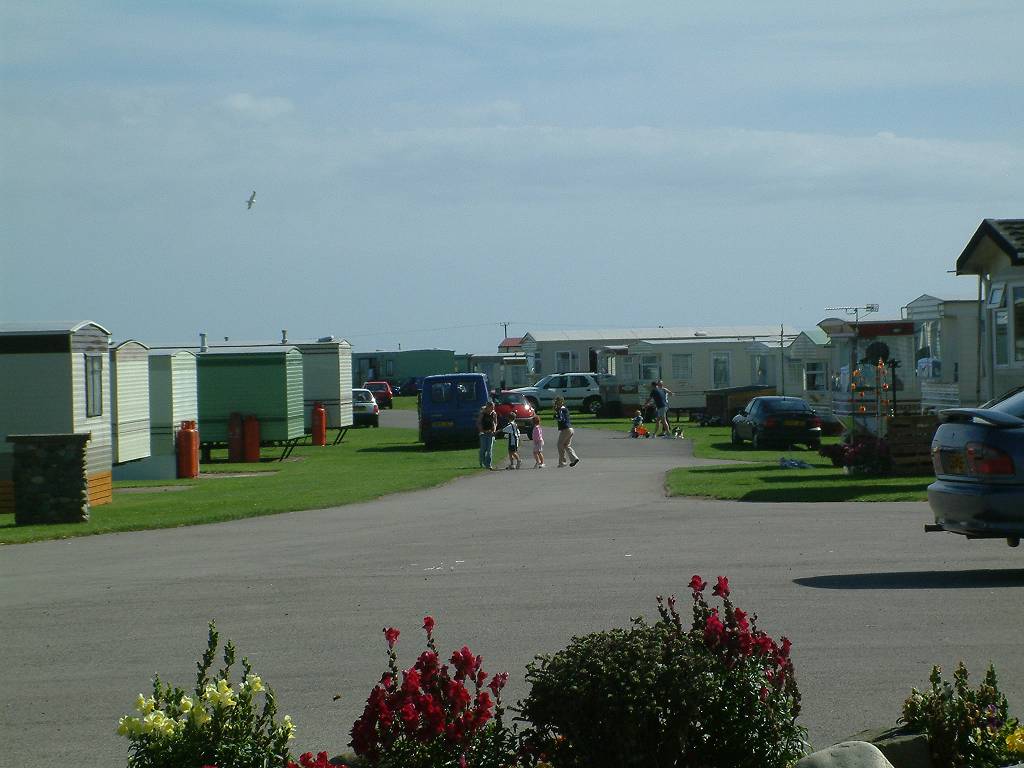 Click now to see this image full size.