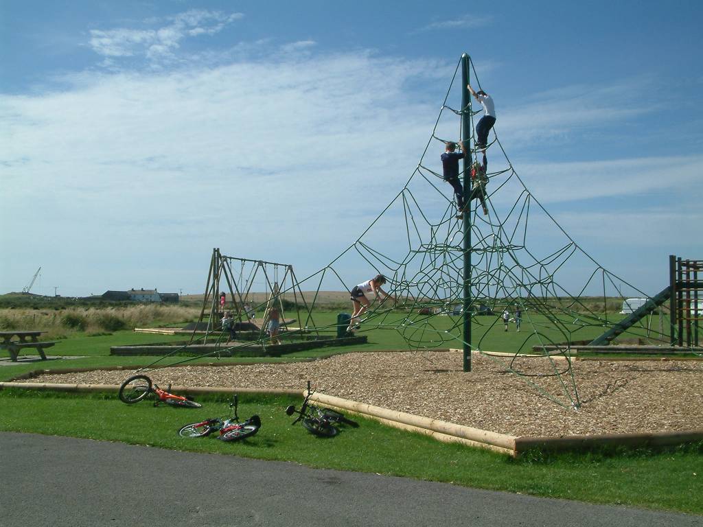 Click now to see this image full size.