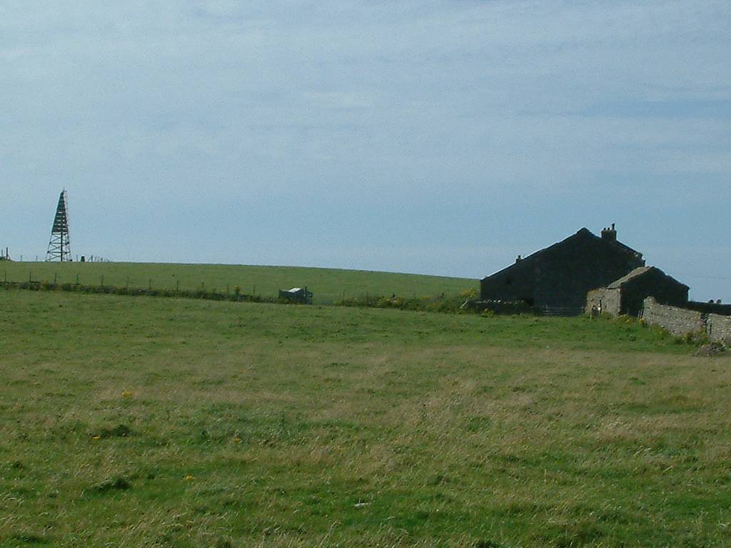 Click now to see this image full size.