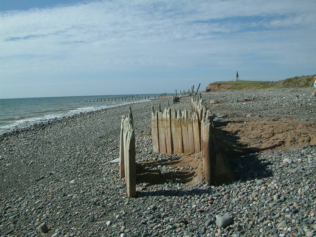 Click now to see this image full size.