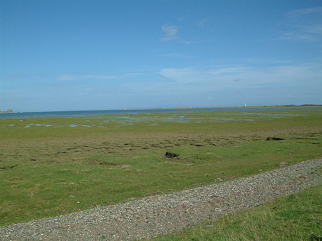 Click now to see this image full size.