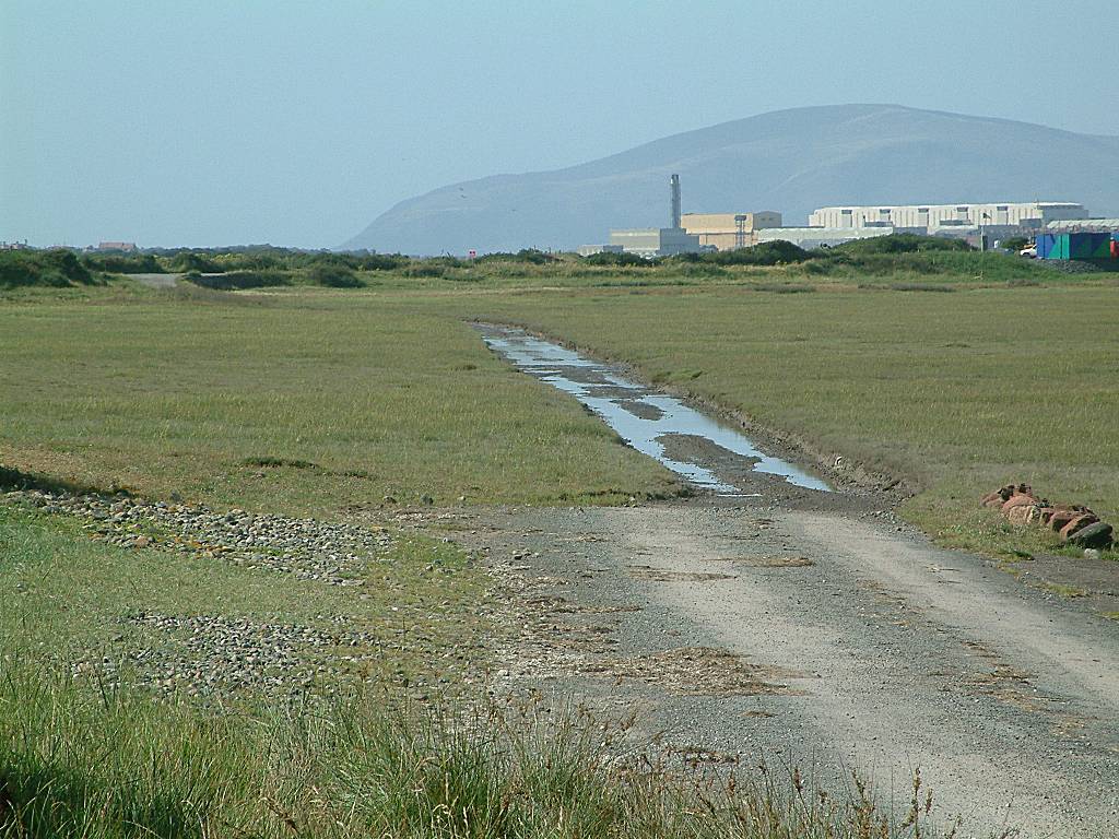 Click now to see this image full size.